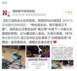 生活帮网友爆料视频大全,揭秘日常生活中的热点事件  第1张