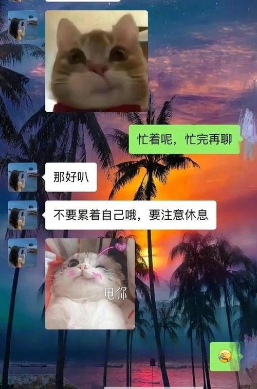 胖猫男友爆料视频,视频爆料背后的甜蜜生活 第1张 胖猫男友爆料视频,视频爆料背后的甜蜜生活 第1张